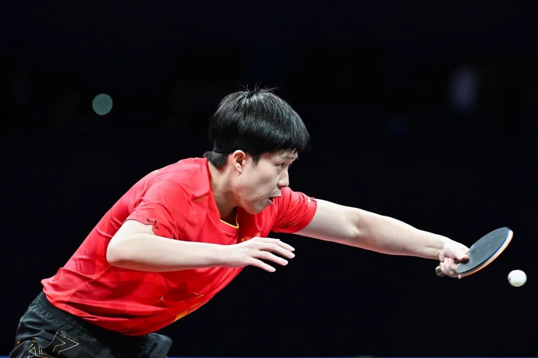 条款多设定 条款多设定